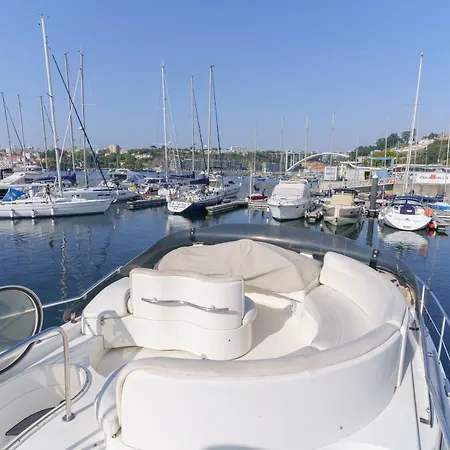 Sailing 360 Night On Board Experience Vila Nova de Gaia